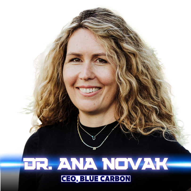 ST24 Speaker Tiles (website) - Dr Ana Novak